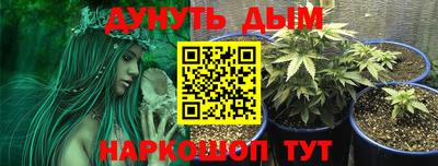 молекула духа Славгород